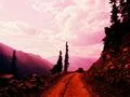 Driving down the Lowari Pass