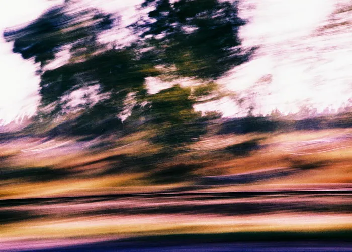 Speed Kings