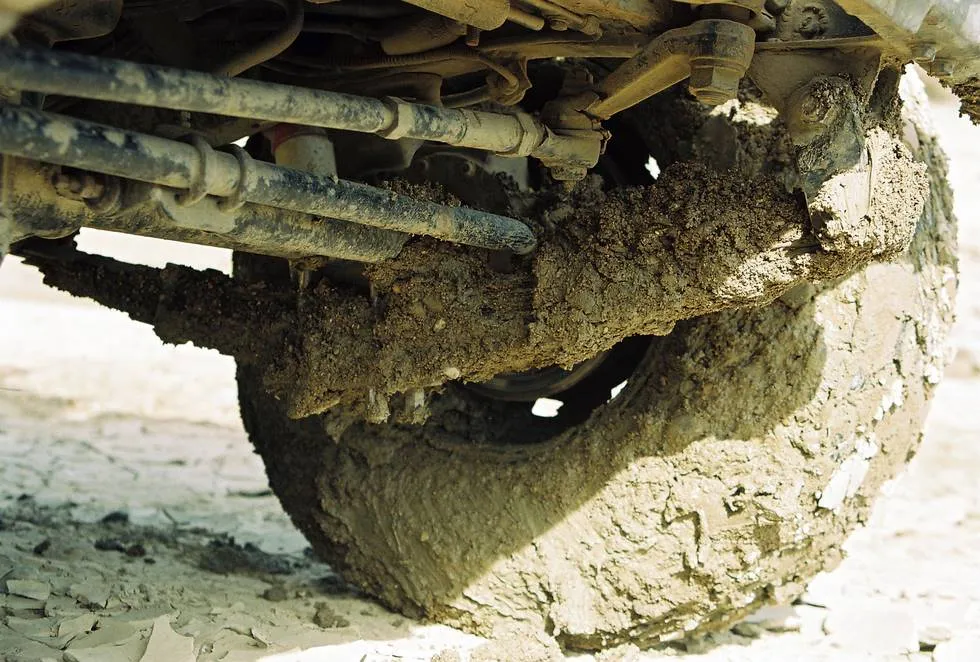 Muddy kamani