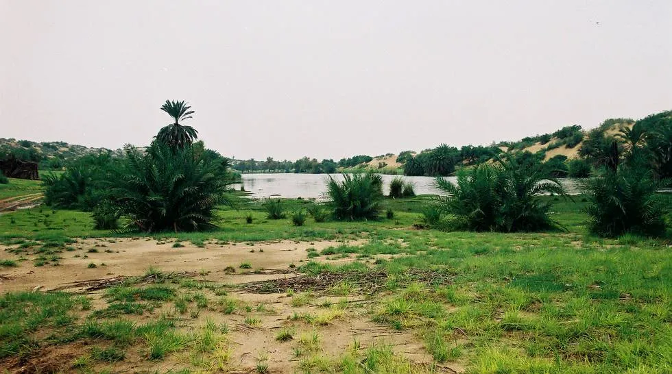 Oasis in the Desert