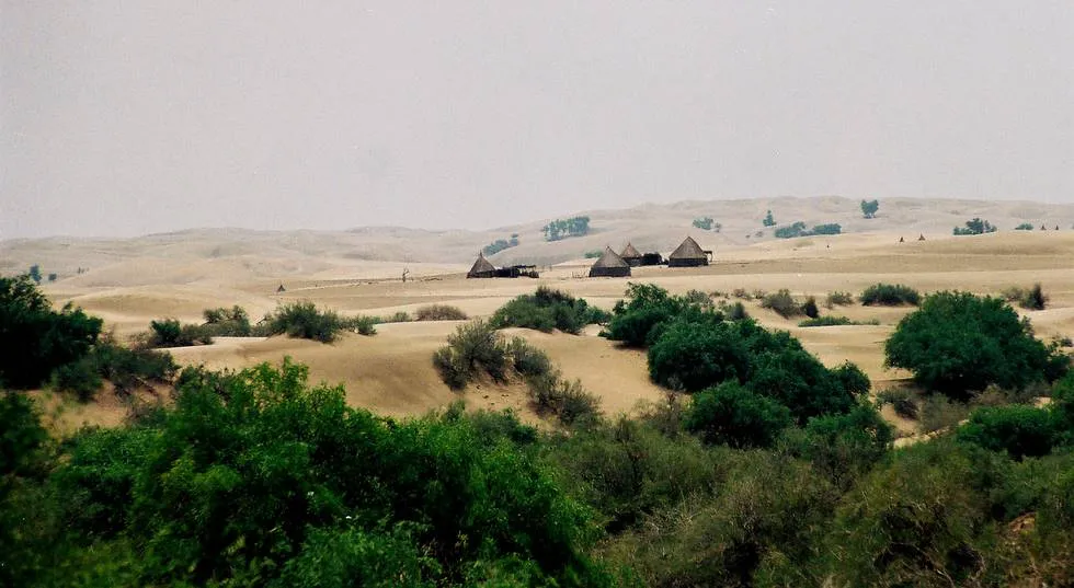 Thar Desert 5