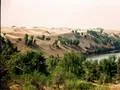 The Thar desert after the rains