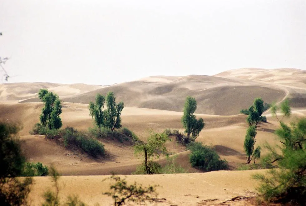 Thar Desert 6