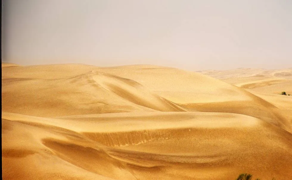 Wind and rain shaped desert