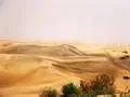 Morning desert