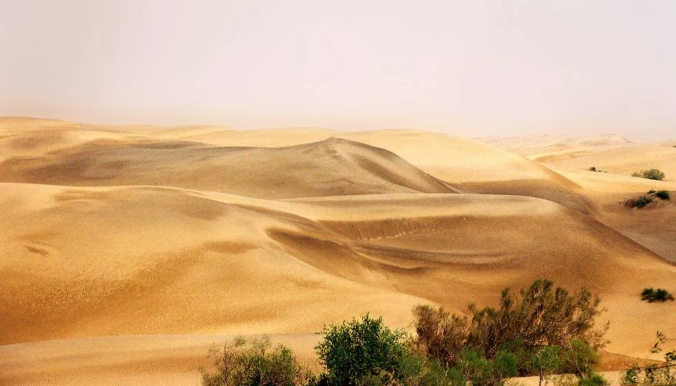 Morning desert