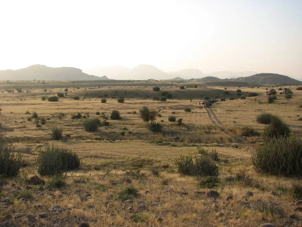 Driving through the African Savannah
