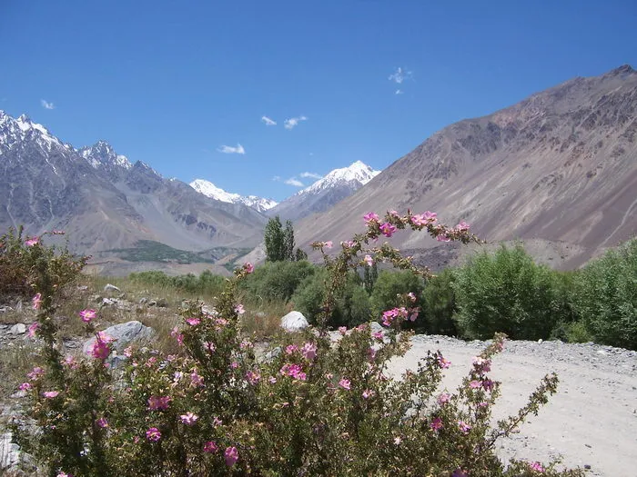 Shandur Road 2