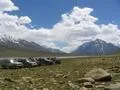Jeeps at Shandur