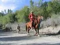 Polo Player
