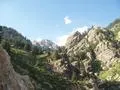Green Sky