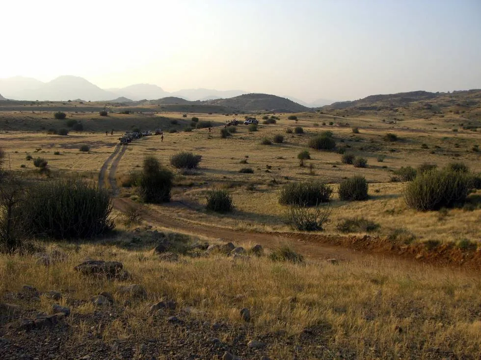 Rolling hills covered with golden graa