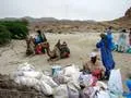 Camels being loaded