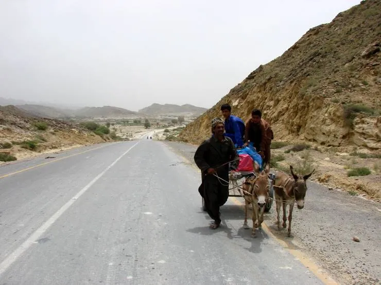 Donkey cart