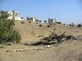 Sindh Wildlife Camp