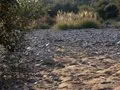 Dry River bed