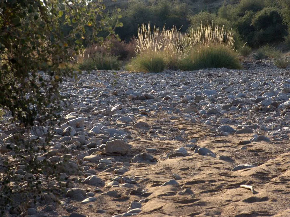 Dry River bed