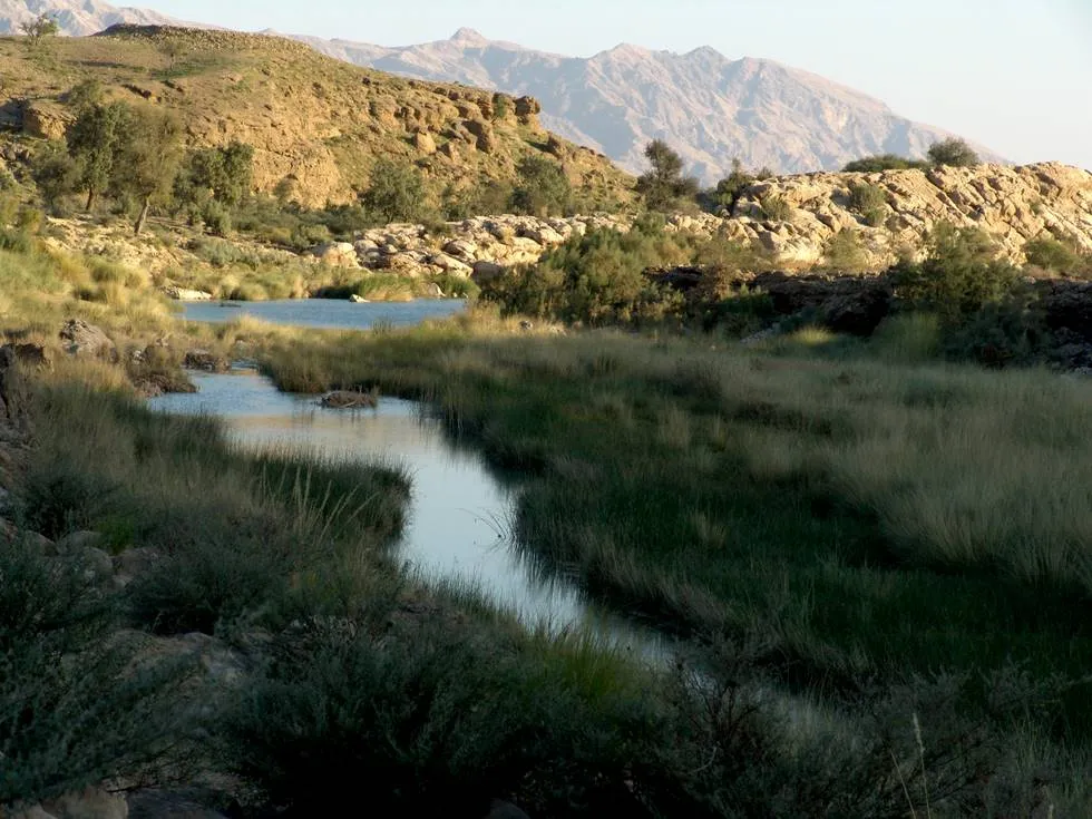 River Stream