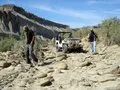 Looking for rocks