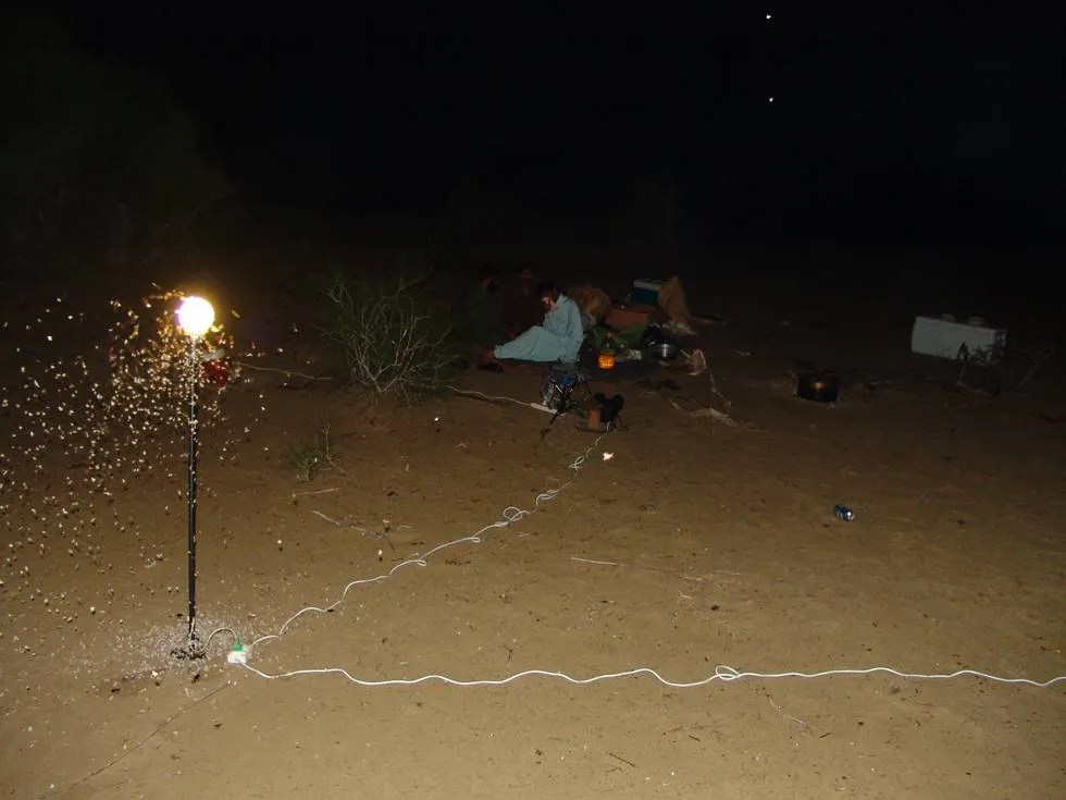 Lights at Camp