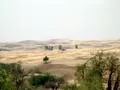 Thar Desert 1