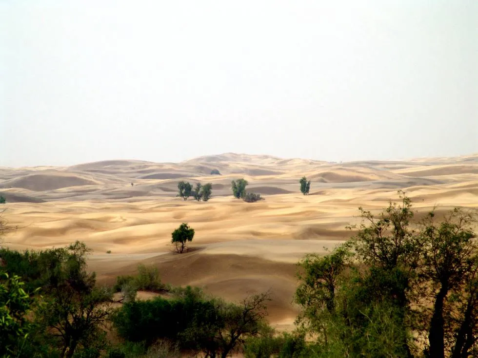 Thar Desert 1