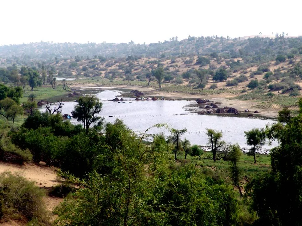 Thar Desert 2