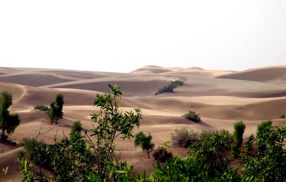 Thar Desert 3