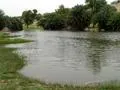 Rain Water