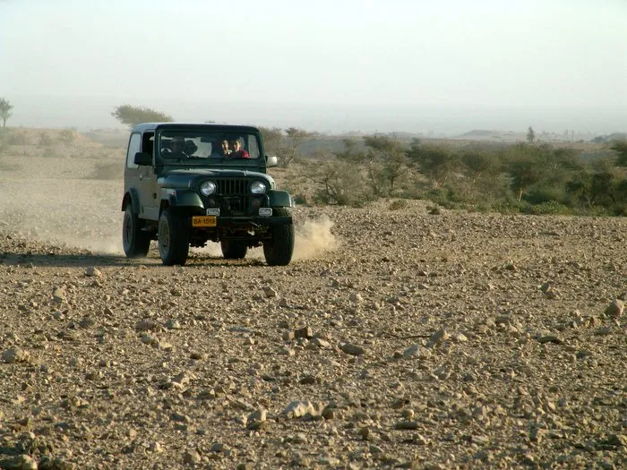 Racing after Deer