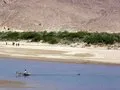 There is more than one way to ford a river