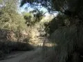 Hamid Omar's Jeep Cherokee