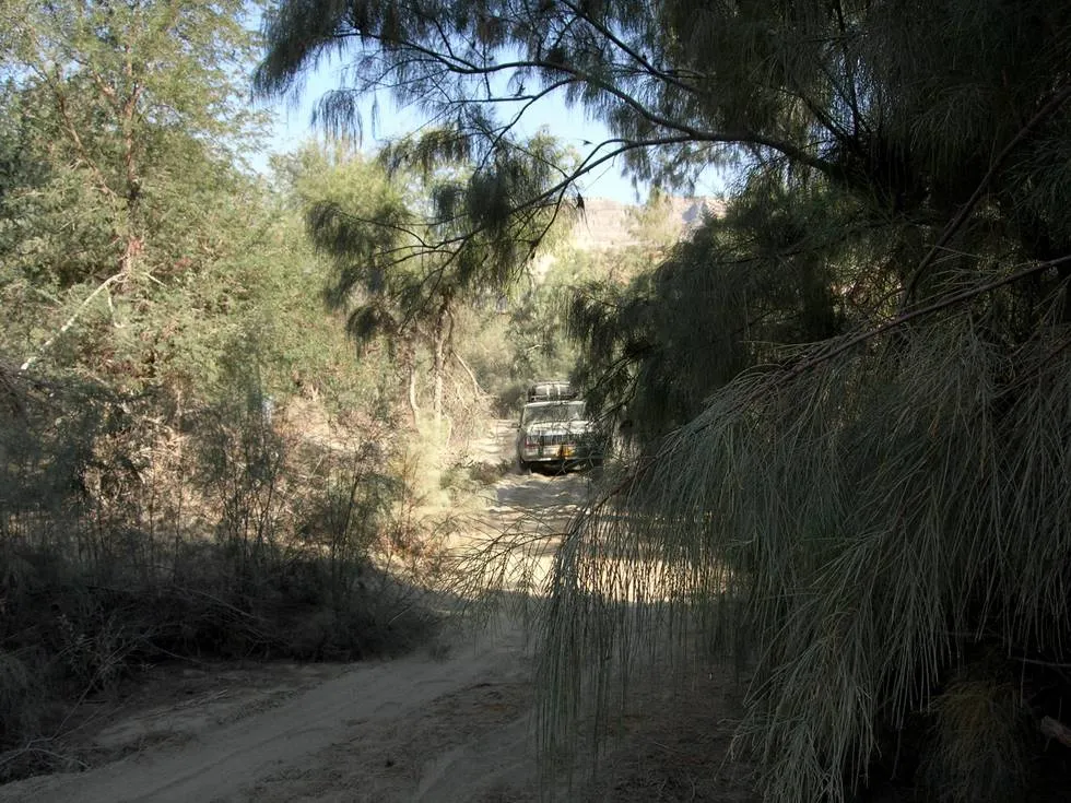 Hamid Omar&#x27;s Jeep Cherokee