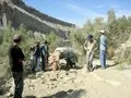 Rasta being cleared
