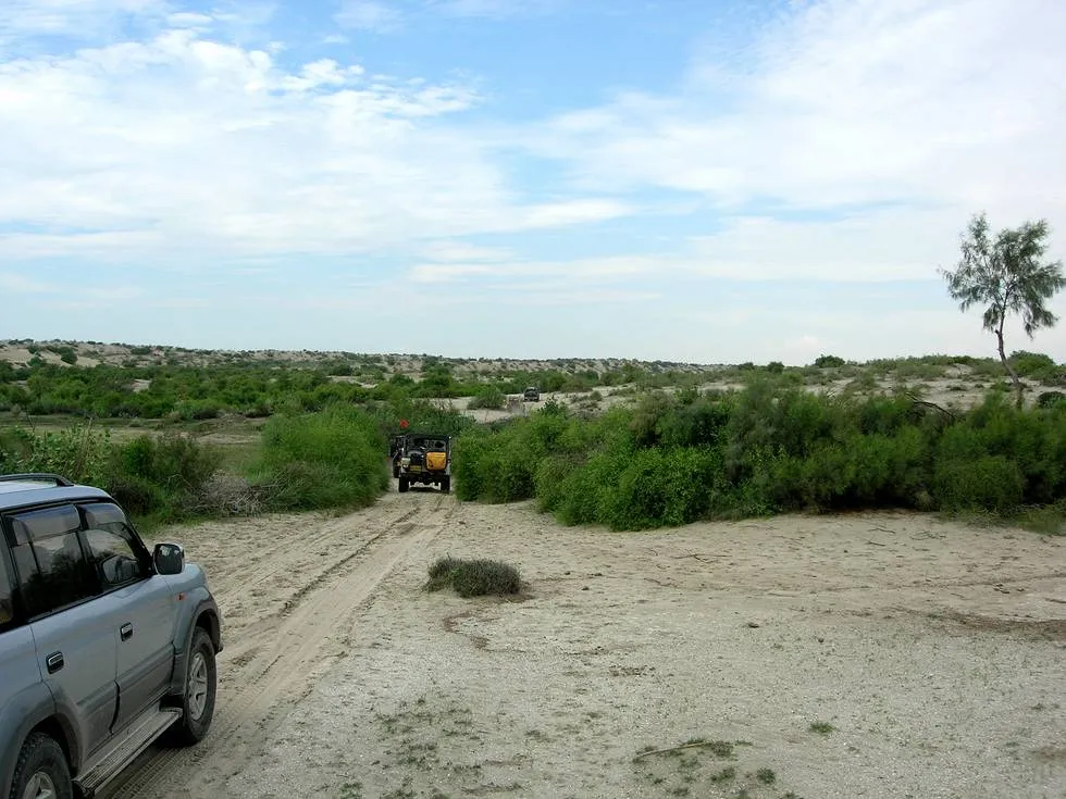 Desert track