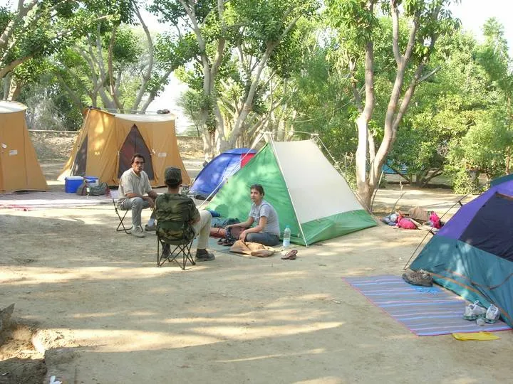 Campsite in the morning