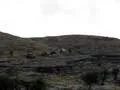 4wheeling