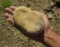 An interesting rock