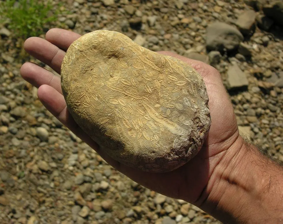 An interesting rock