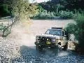 Bronco