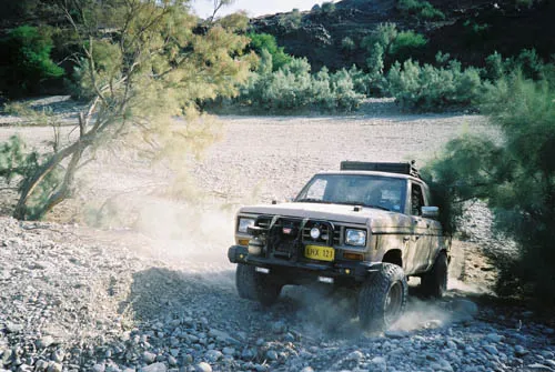 Bronco