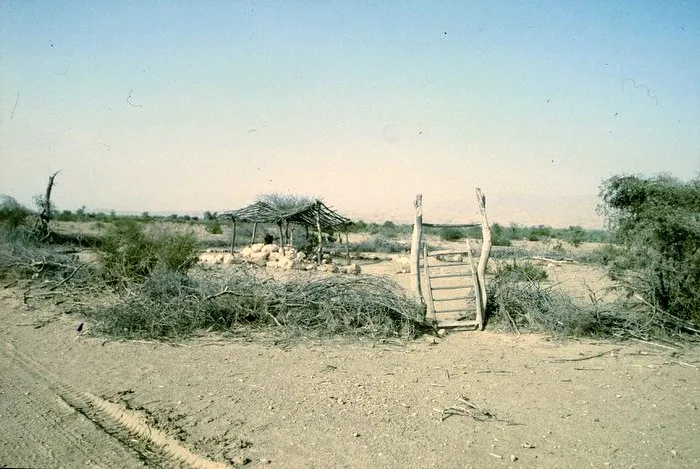 Abandoned 1