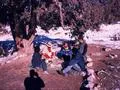 Closeup of Picnic