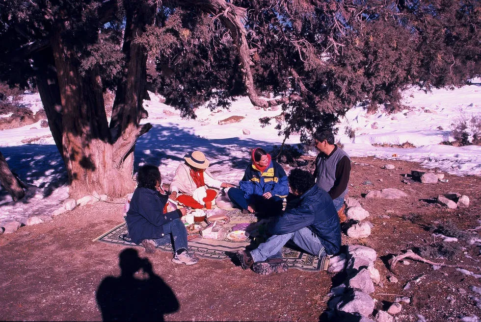 Closeup of Picnic