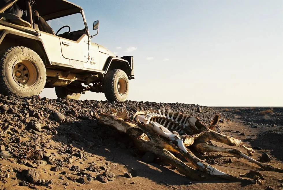 CJ7 | Skeleton