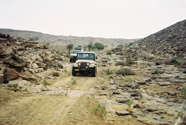 AO CJ7