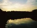 Another Scenic Scene