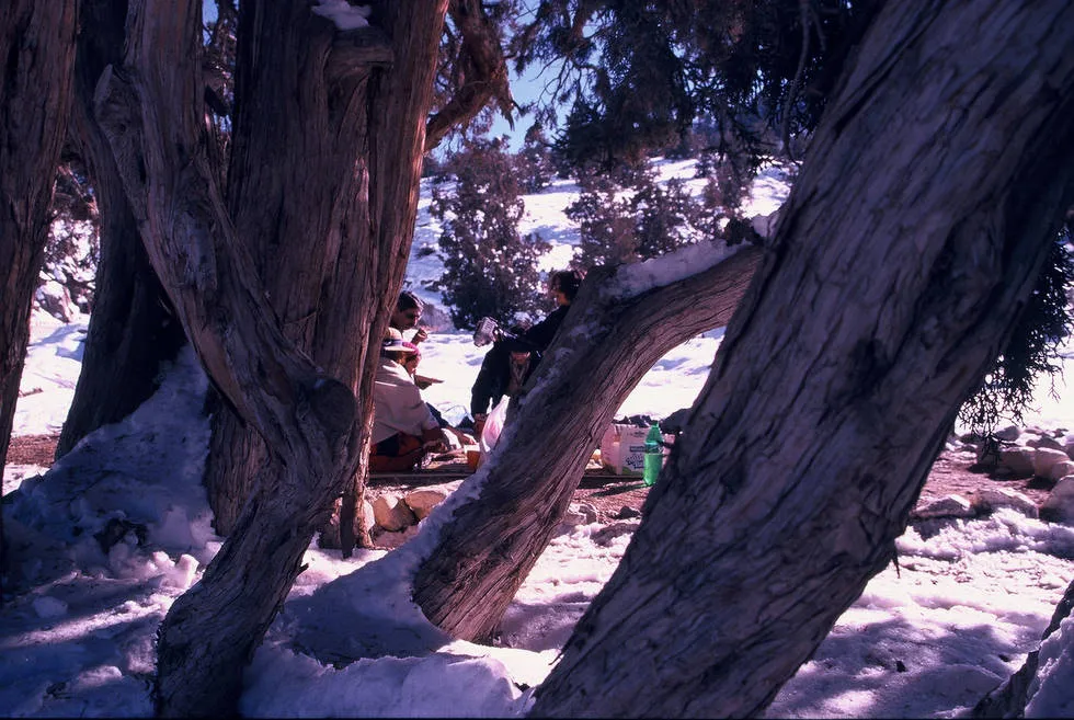 Picnic Spot Redux
