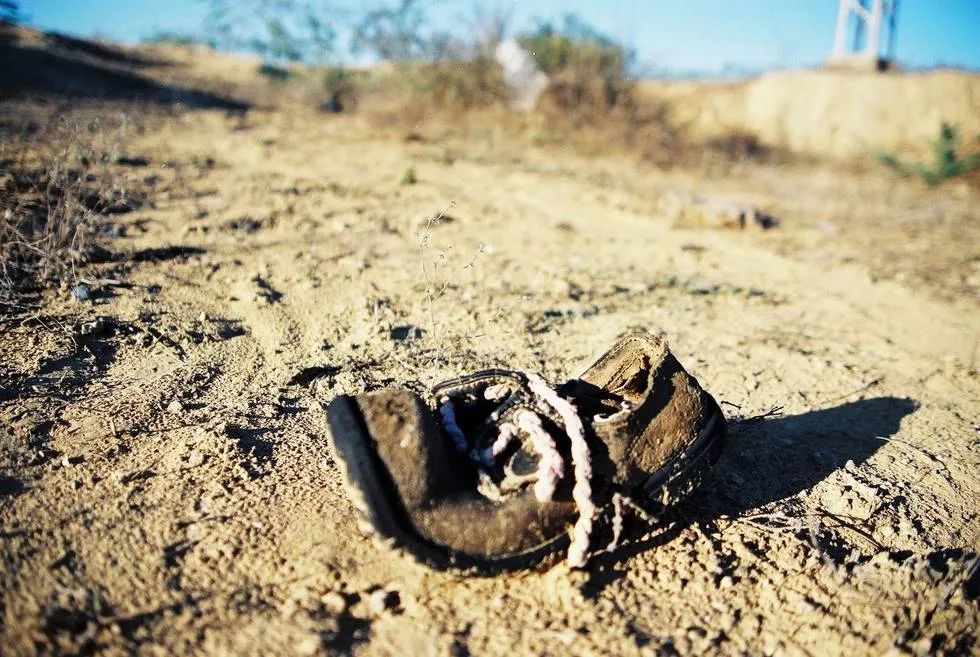 Shoe