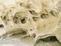 Rockface